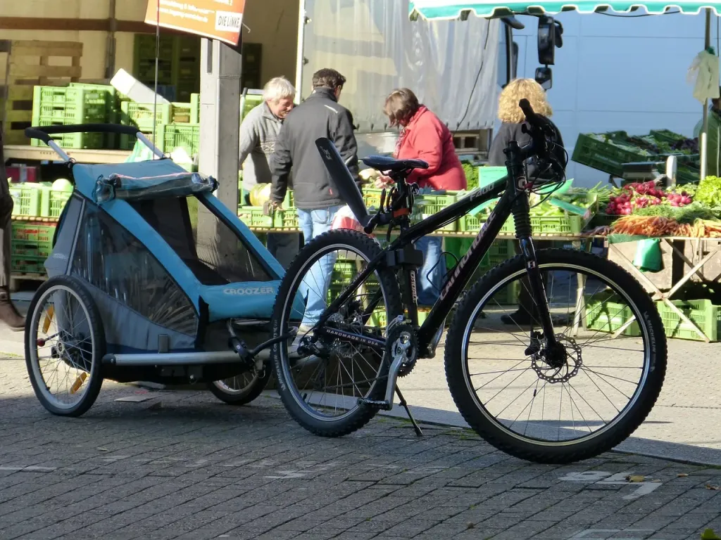 Przyczepka do roweru dla dzieci. Jakie są zalety i jak zadbać o bezpieczeństwo przewożąc dziecko?