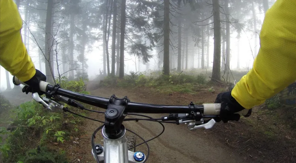 Rodzaje rowerów – typy