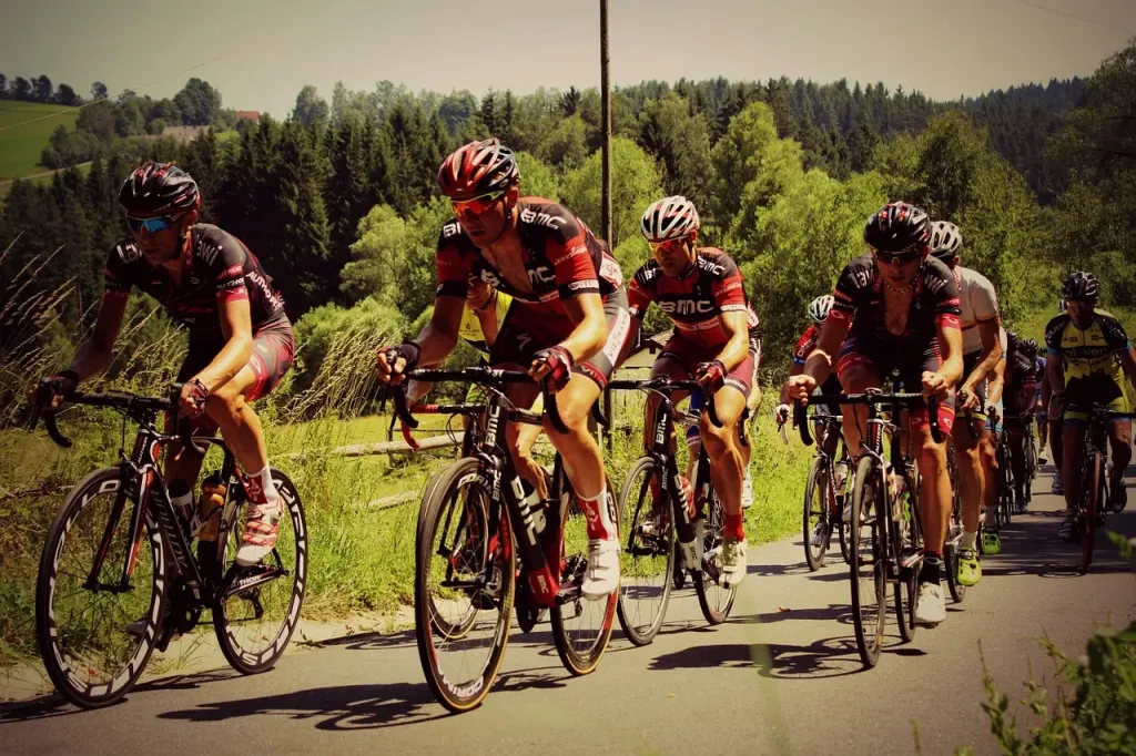 Rodzaje rowerów – typy