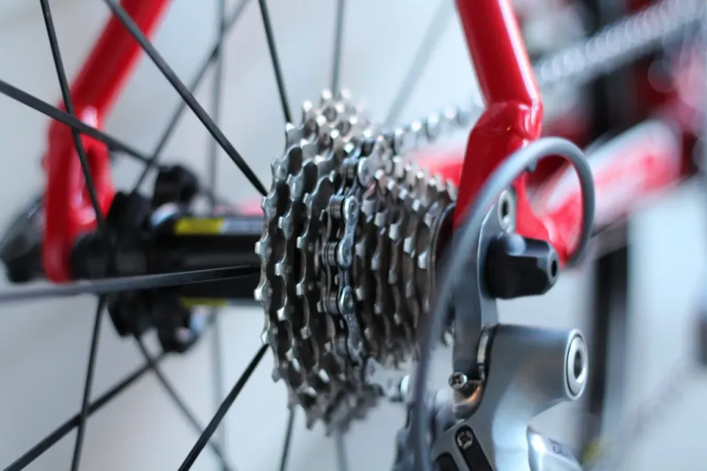 Rodzaje rowerów – typy