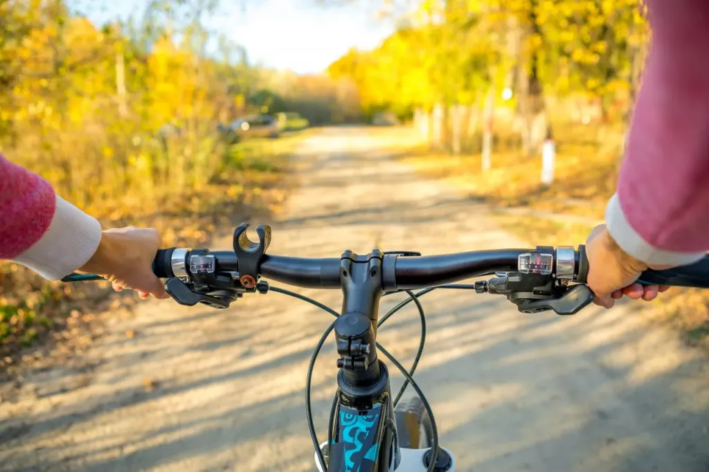 Rodzaje rowerów – typy