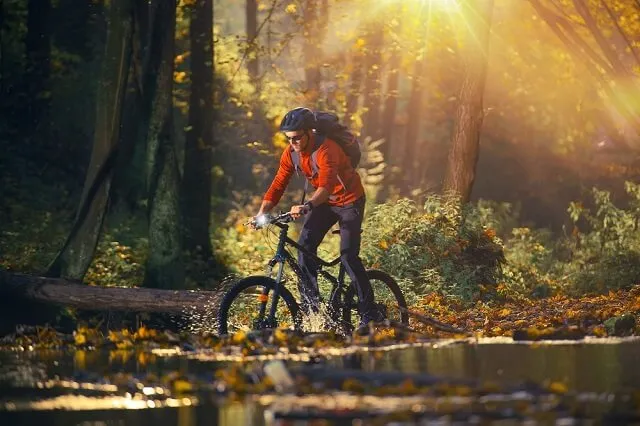 Rodzaje rowerów – typy