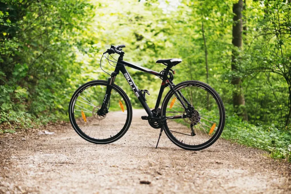Rodzaje rowerów – typy