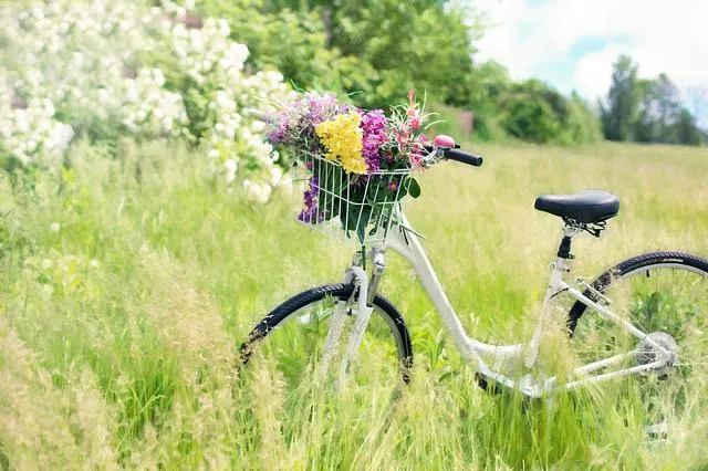 Rodzaje rowerów – typy
