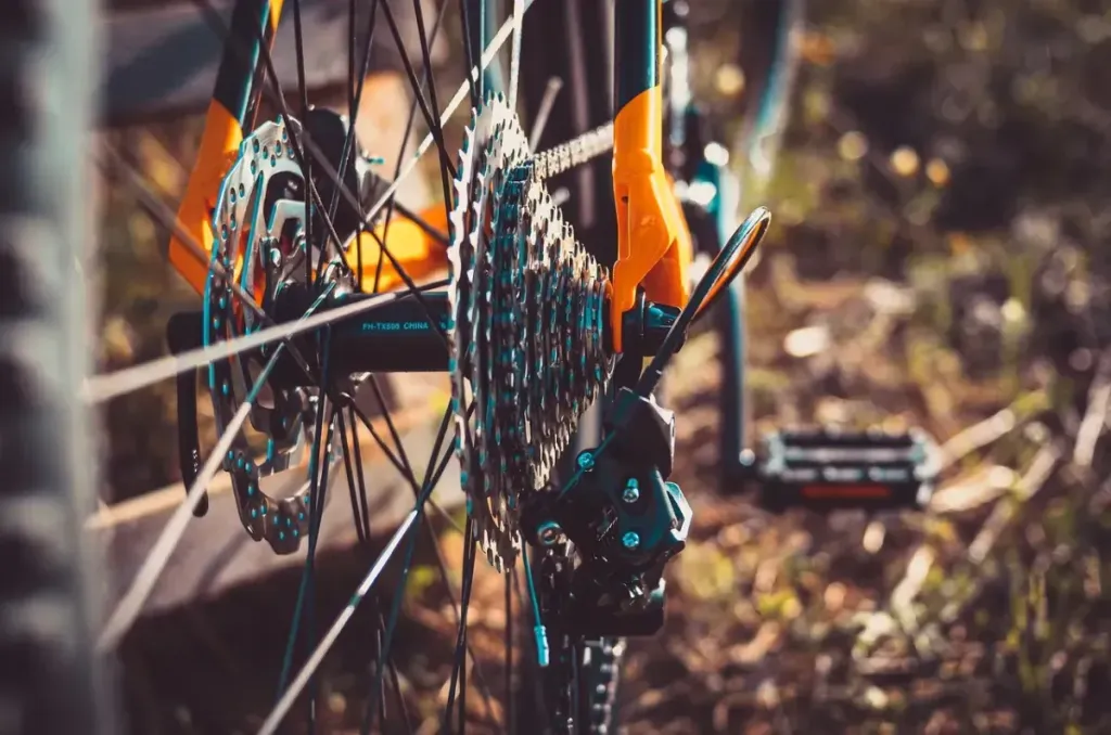 Rodzaje rowerów – typy