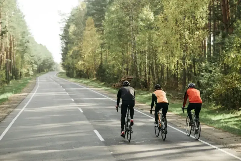 Rodzaje rowerów – typy